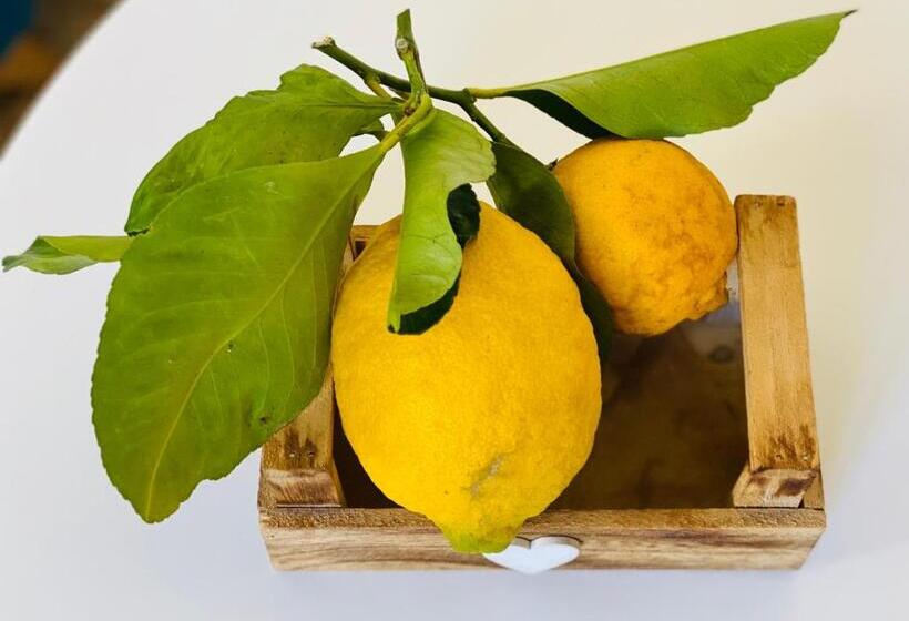 צימר Il Chiostro