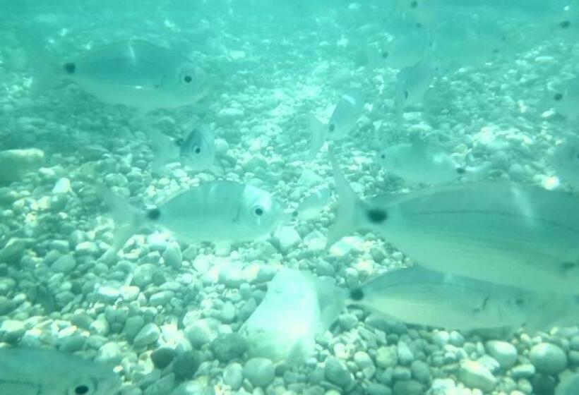 مبيت وإفطار Sole Mare Sale