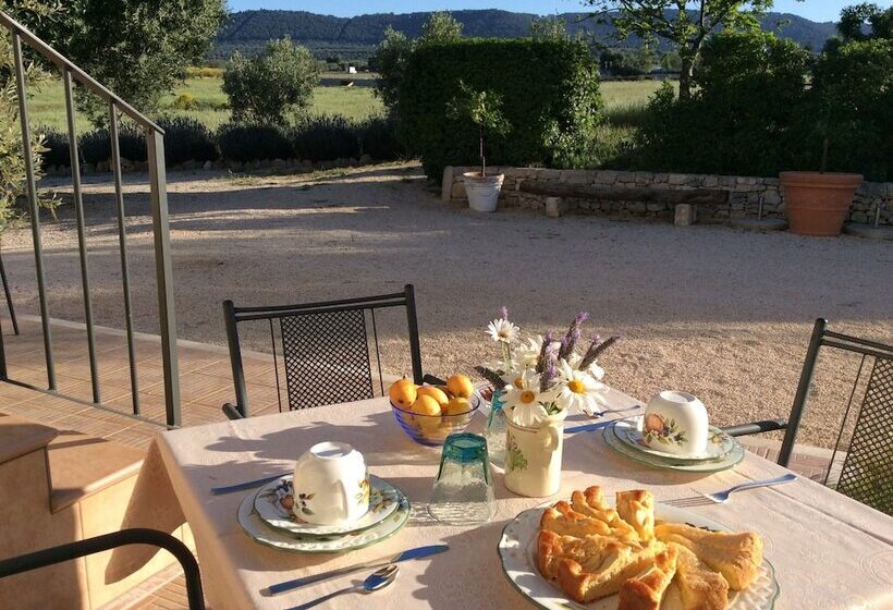 مبيت وإفطار Villa Narducci