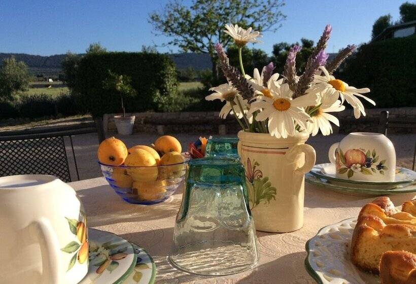 مبيت وإفطار Villa Narducci