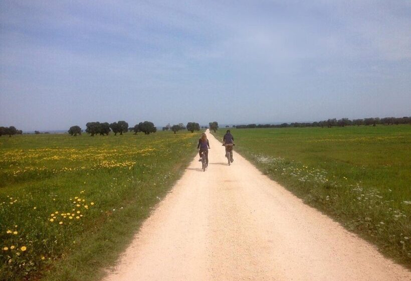 مبيت وإفطار Villa Narducci