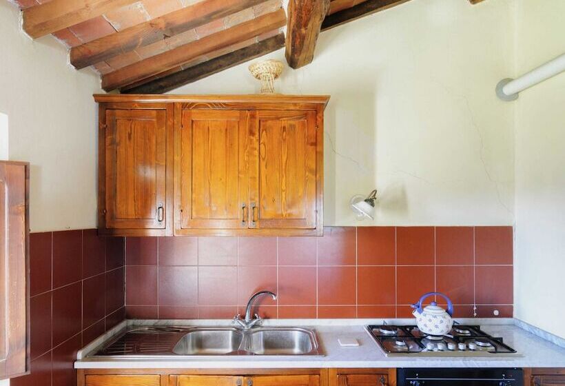 Detached Cottage With Swimming Pool