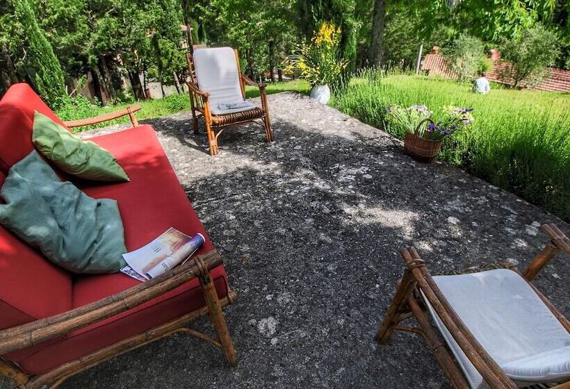 Detached Cottage With Swimming Pool