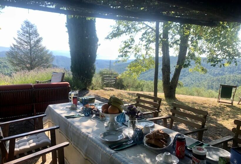 Detached Cottage With Swimming Pool