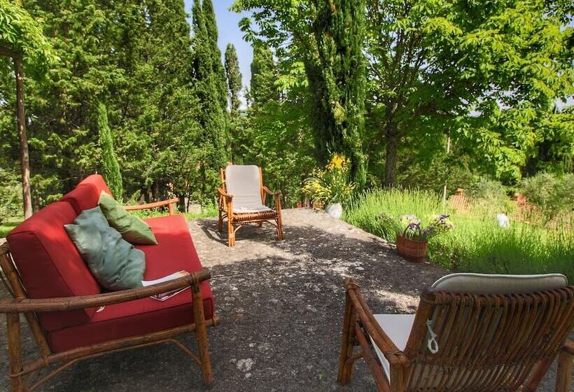 Detached Cottage With Swimming Pool