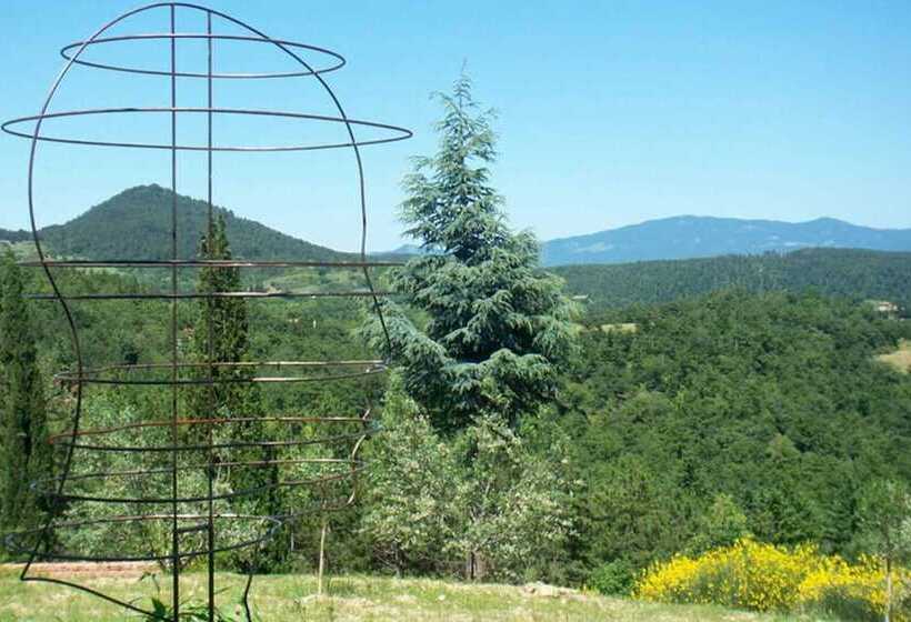 Detached Cottage With Swimming Pool