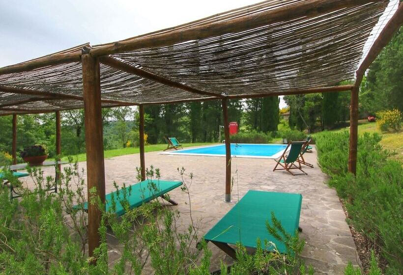 Detached Cottage With Swimming Pool