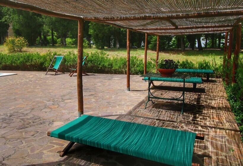 Detached Cottage With Swimming Pool