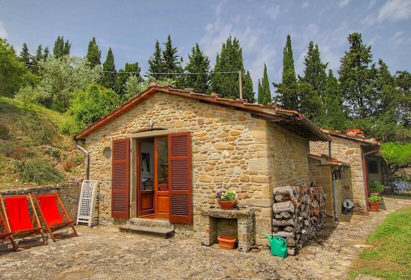 Detached Cottage With Swimming Pool