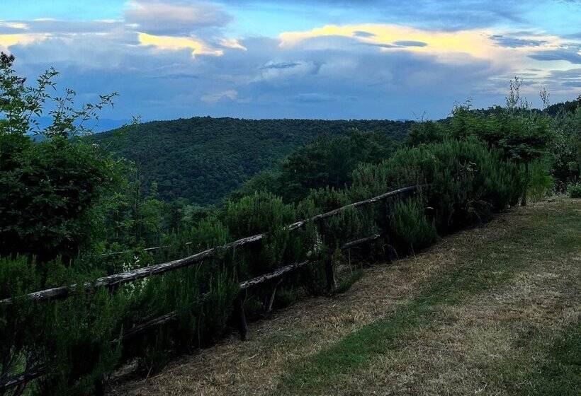 Detached Cottage With Swimming Pool