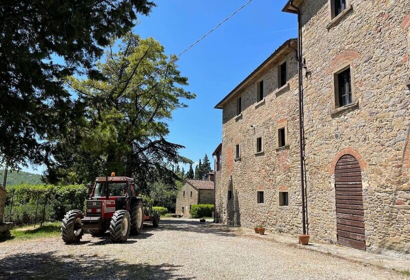 Detached Cottage With Swimming Pool
