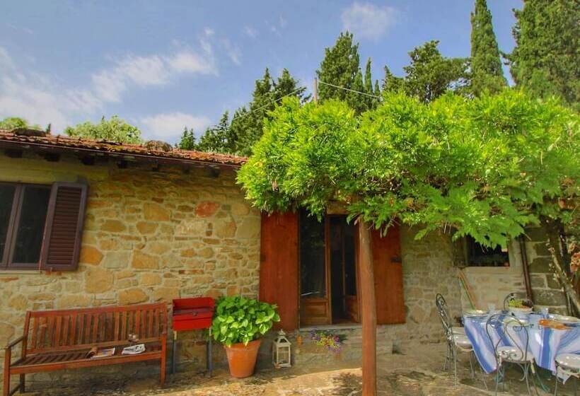 Detached Cottage With Swimming Pool