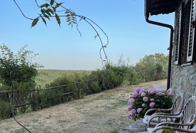 Detached Cottage With Swimming Pool