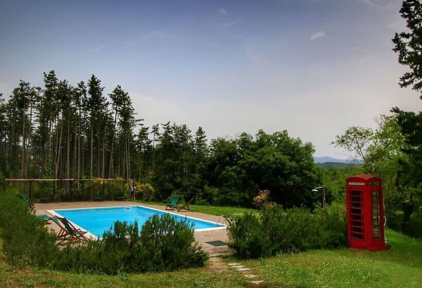 Detached Cottage With Swimming Pool