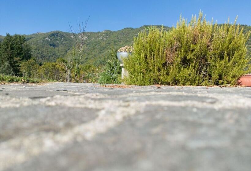 Graceful Cottage In Vergemoli With Private Fenced Garden