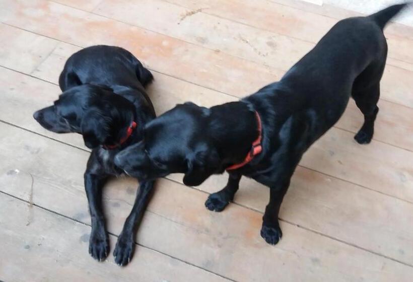 Отель Agriturismo Oro Di Berta