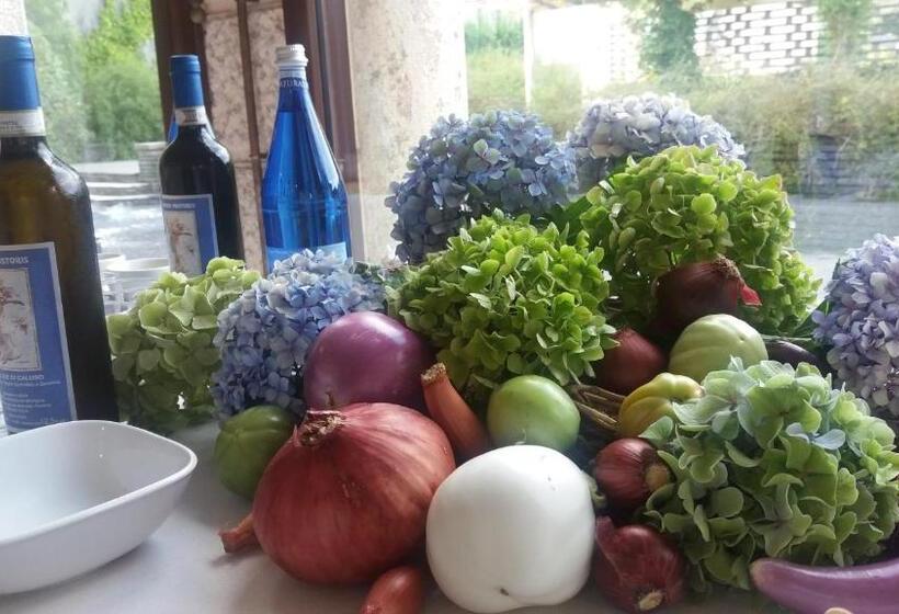 Отель Agriturismo Oro Di Berta