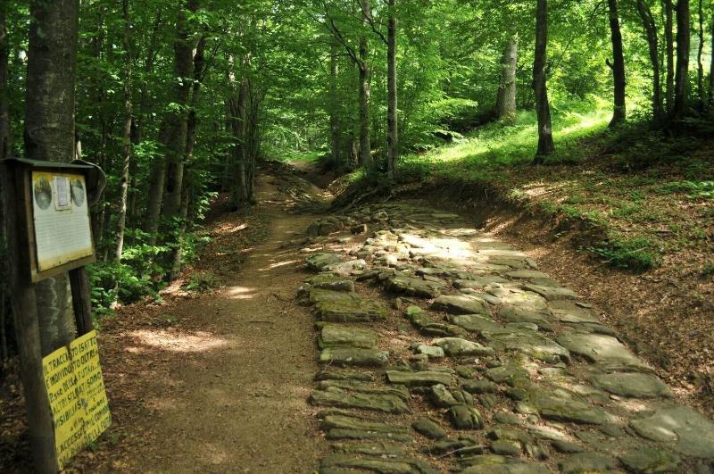 호텔 Albergo Ristorante Poli