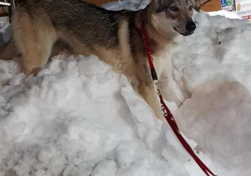 בית מלון כפרי Albergo Ristorante Poli