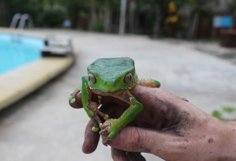 هتل Amazon Garden Ecolodge