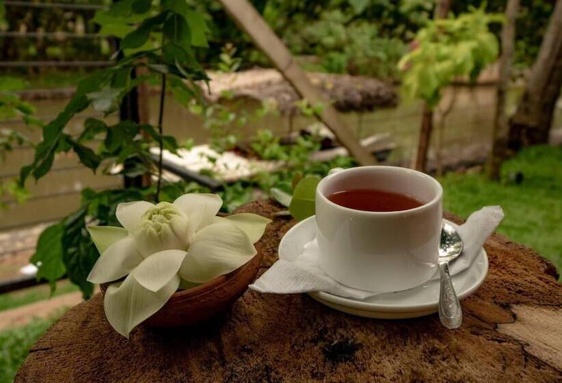 酒店 Ayur Ayur Ayurveda Retreat