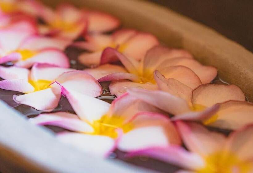 酒店 Ayur Ayur Ayurveda Retreat