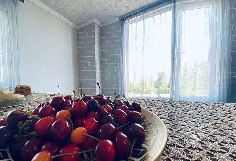 ホテル Byurakan Guesthouse & Cottage