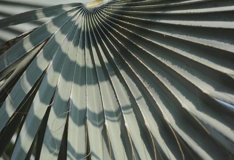 فندق Chuan Thanapanya Resort