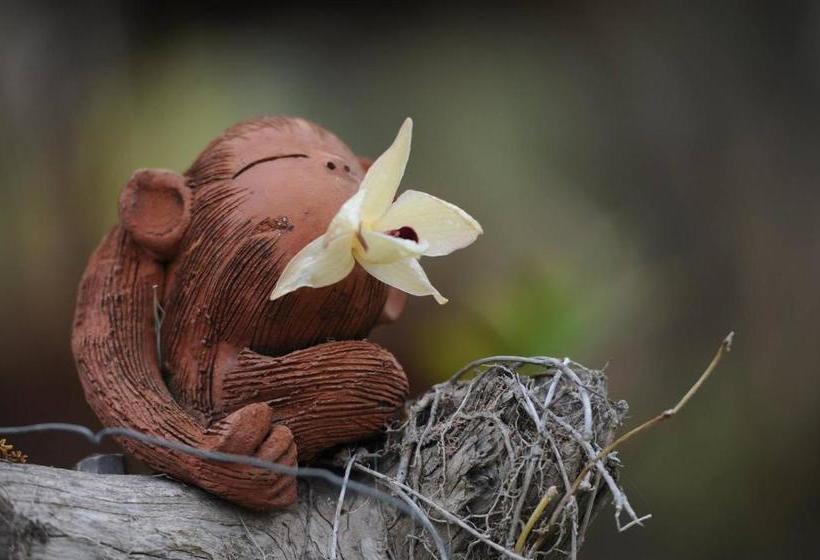 فندق Chuan Thanapanya Resort