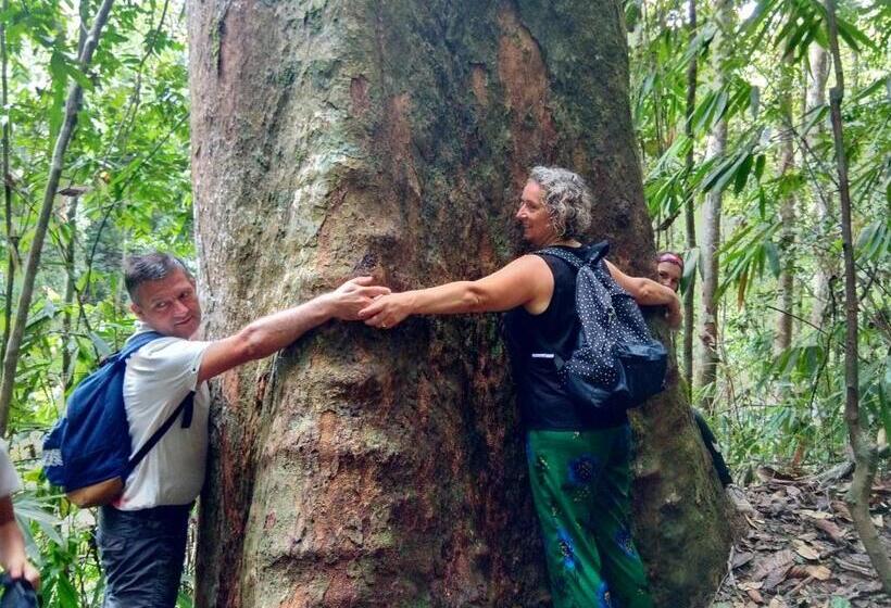 호텔 Evergreen Villa  Sinharaja