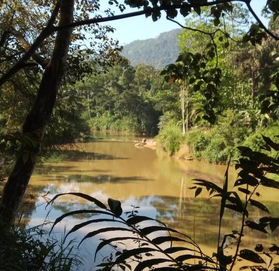 호텔 Evergreen Villa  Sinharaja