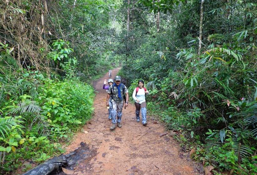 ホテル Explorer By Eco Team   Sinharaja