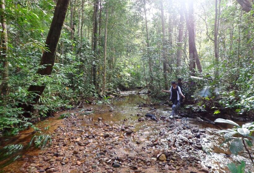 فندق Explorer By Eco Team   Sinharaja