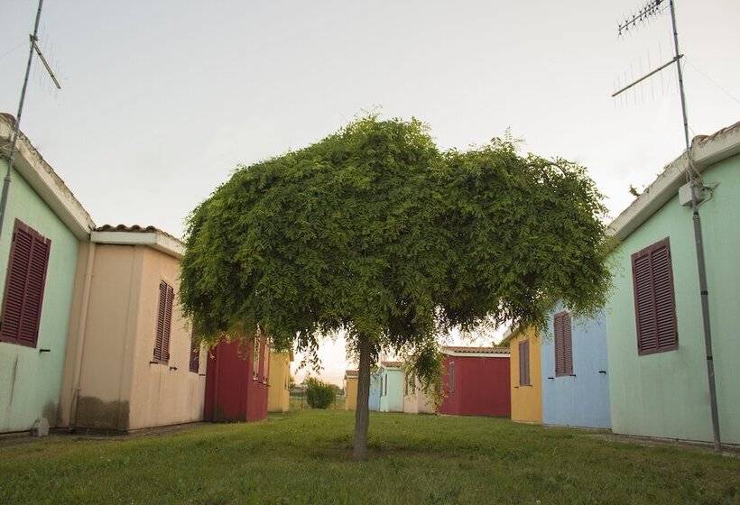 בית מלון כפרי Garden River   Campsite