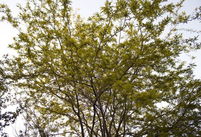 فندق Garden River   Campsite