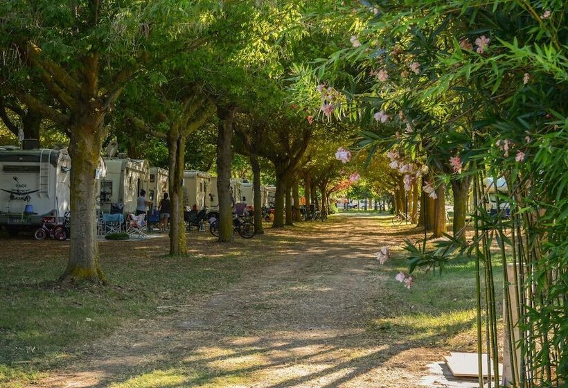 فندق Garden River   Campsite