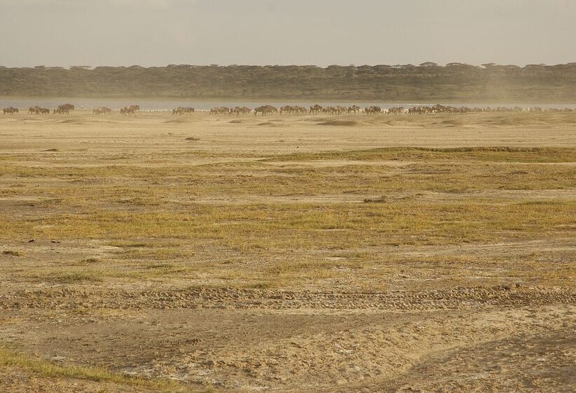 בית מלון כפרי Gnu Ndutu Camp
