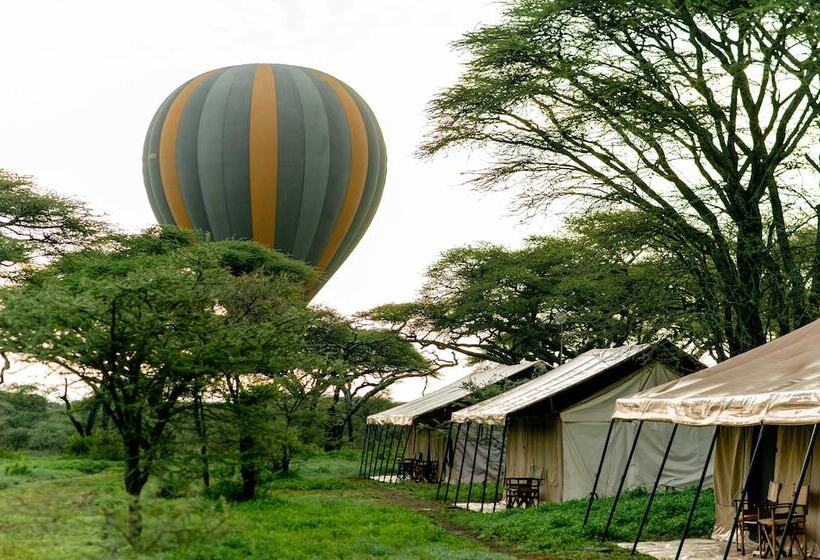בית מלון כפרי Gnu Ndutu Camp