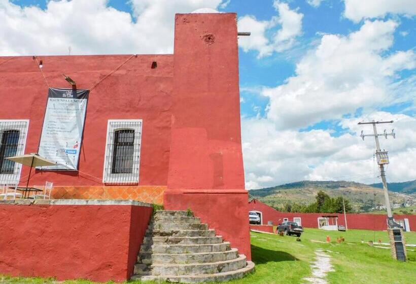 فندق Hacienda La Noria Culture Boutique By Rotamundos