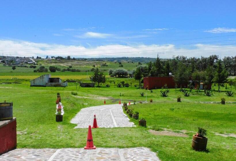فندق Hacienda La Noria Culture Boutique By Rotamundos