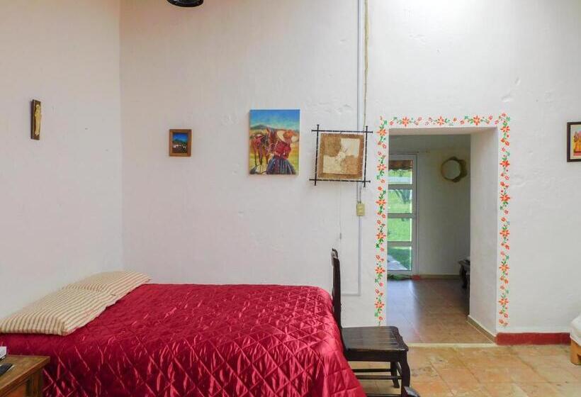 فندق Hacienda La Noria Culture Boutique By Rotamundos