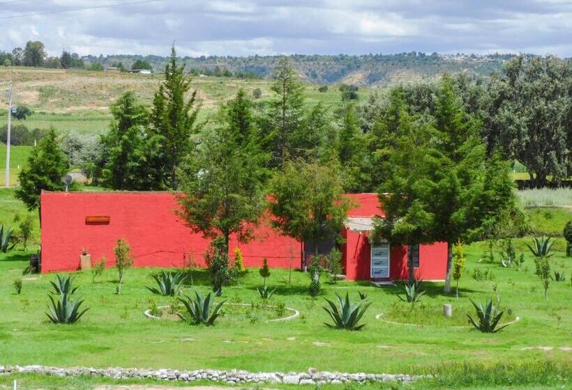 فندق Hacienda La Noria Culture Boutique By Rotamundos