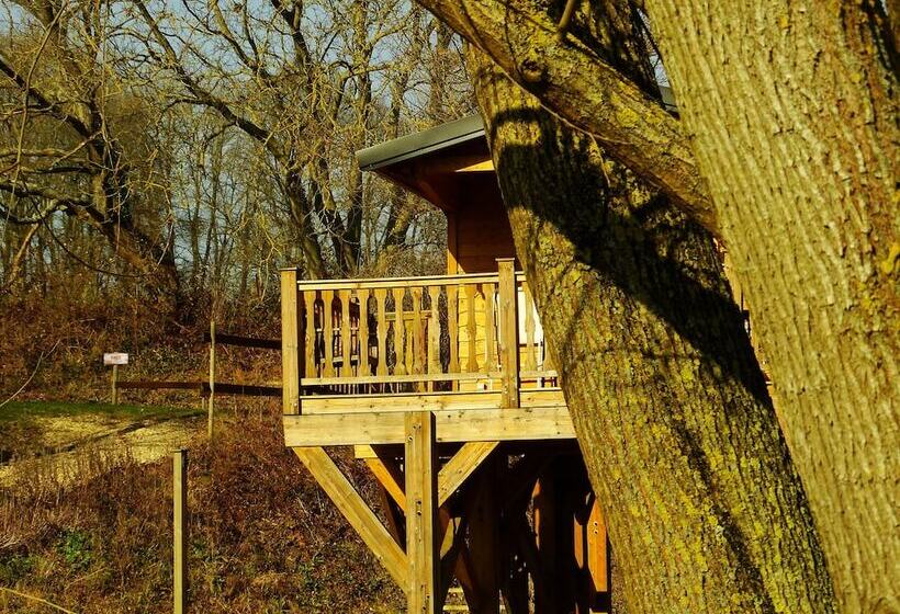 בית מלון כפרי Etangs Du Moulin