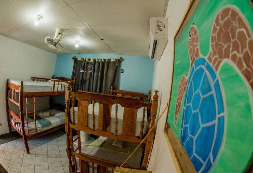 호텔 Miramar Surfcamp