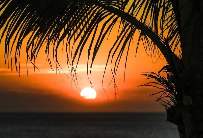 호텔 Miramar Surfcamp