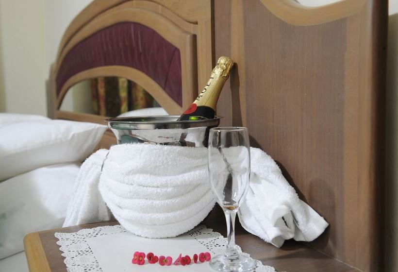 فندق Mount Pleasant Inns & Apartment