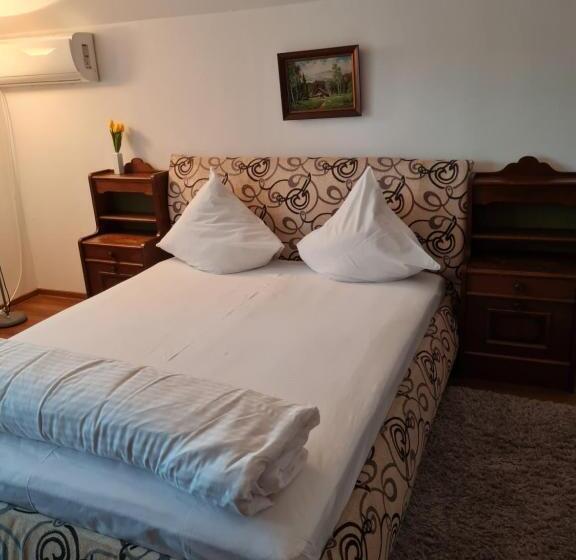 酒店 Pensiunea Clasic