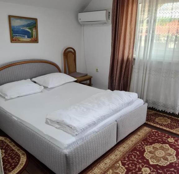 酒店 Pensiunea Clasic