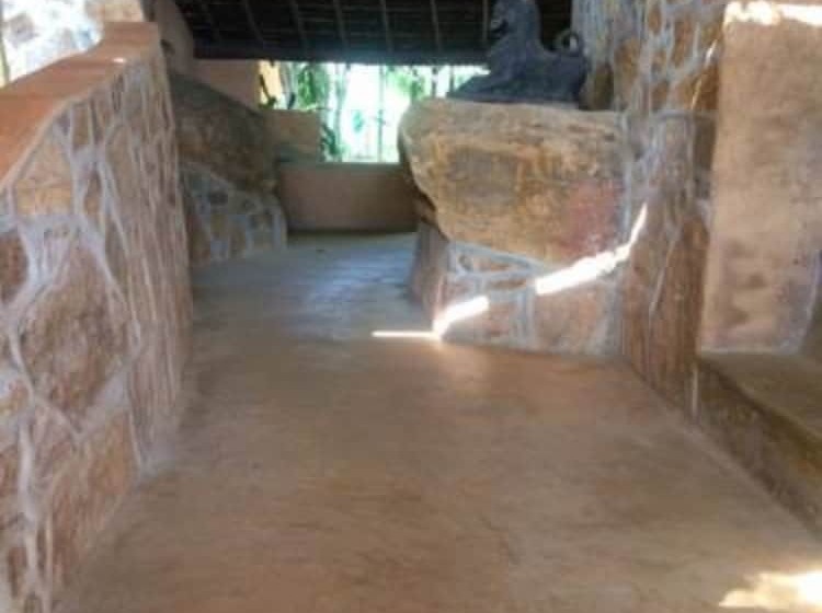 호텔 Rainforest Edge