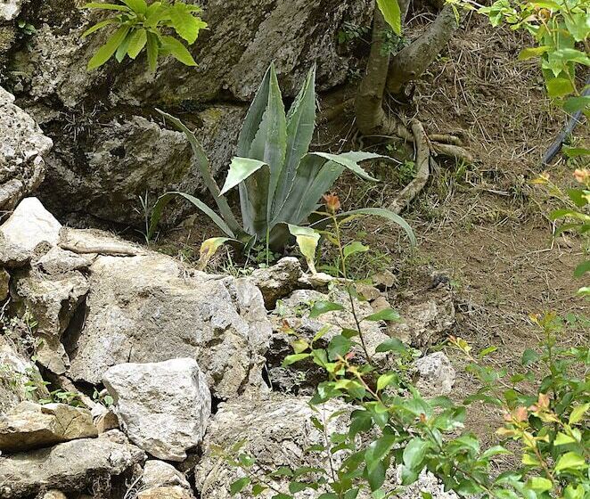 فندق ريفى Agriturismo Cornali